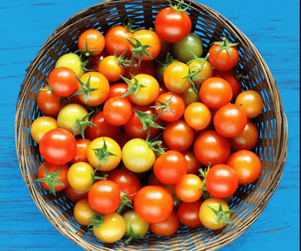 Cherry Tomato Basket